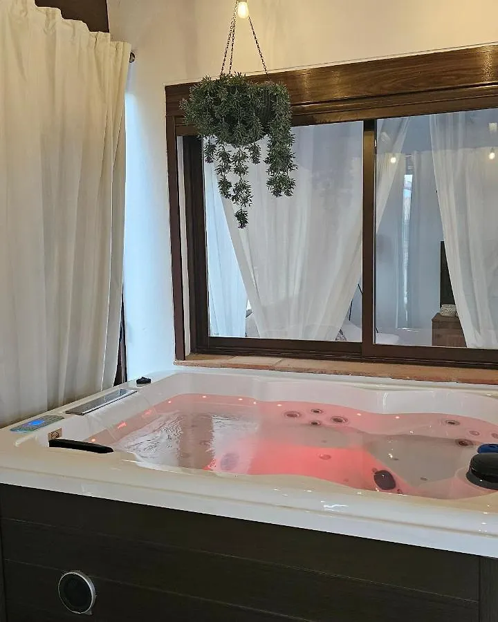 Manzano Oasis Villa Malaga 0*,